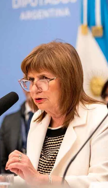 En el Senado, Patricia Bullrich busca el apoyo del bloque de la UCR. (Foto: archivo web)