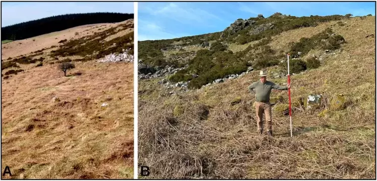 Vista aérea de la posible cisterna.