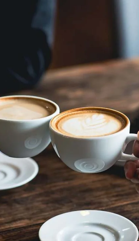 Ni azúcar ni edulcorantes: alguna bebidas contienen polifenoles que son beneficiosos para la salud, explica el experto.