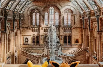 El fenómeno que rompió internet: Por qué 90.000 personas colapsaron la web de un histórico museo