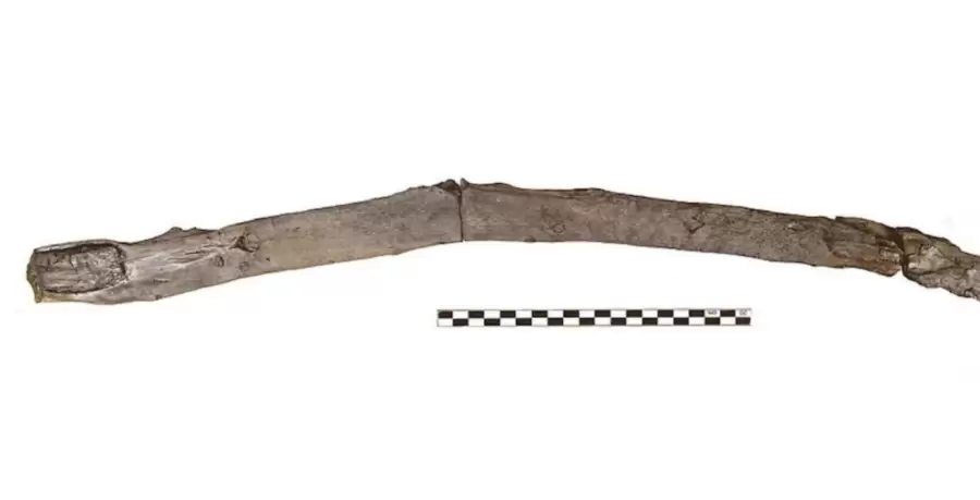 El misterio de la madera: el objeto de 430.000 años hallado en Grecia