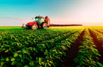 Exportaciones 2025: récord de granos y crisis en el vino