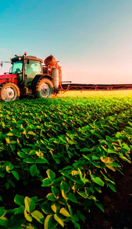 El trigo y el girasol fueron los motores del crecimiento en 2025, con subas del 33% y 50% en exportaciones, respectivamente.