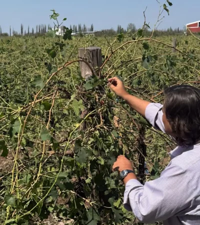 emergencia agropecuaria