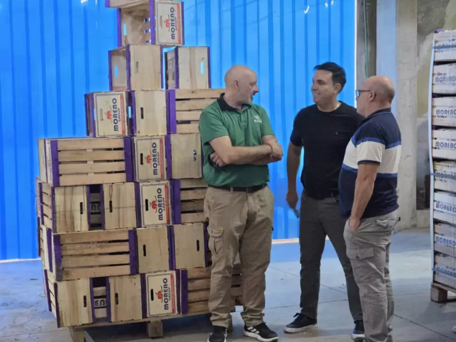 Duraznos mendocinos a Dubai