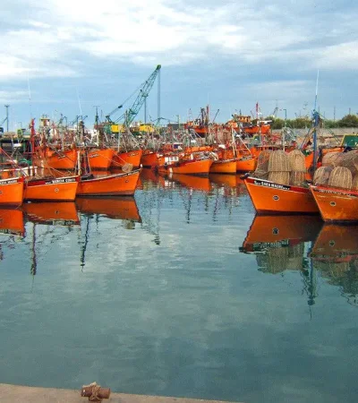 El Sindicato de Conductores Navales.