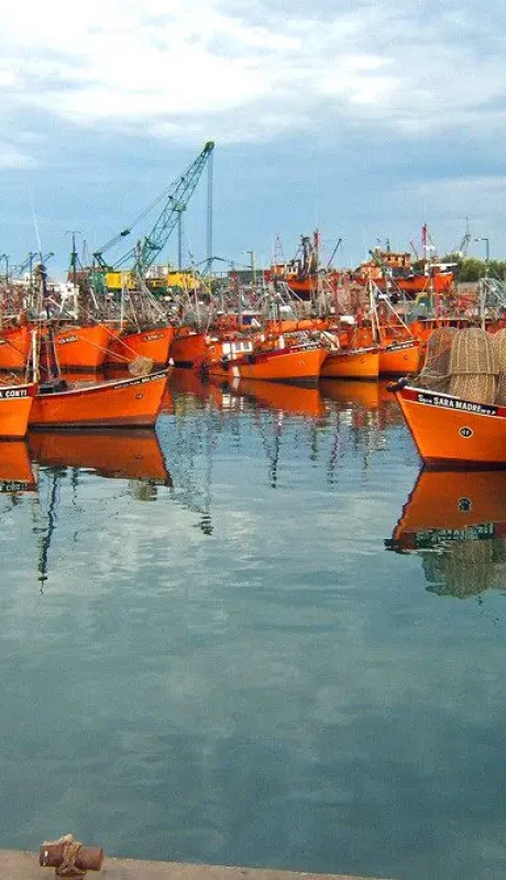 El Sindicato de Conductores Navales.