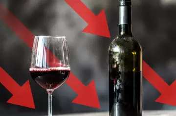 Vino argentino: jóvenes prefieren bebidas con menos alcohol