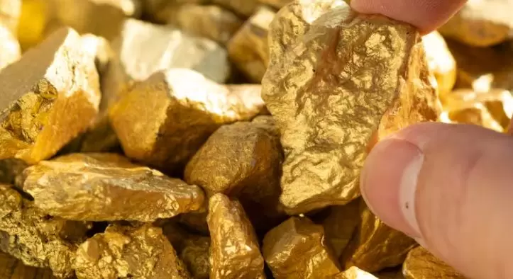 Un buscador aficionado halló un tesoro de más de 500 monedas y lingotes de oro celta en un campo de Pilsen, República Checa.