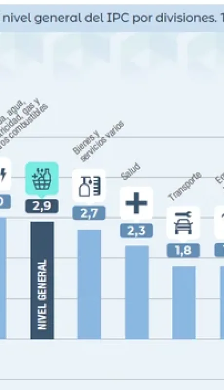 Cómo se comportaron los precios en enero
