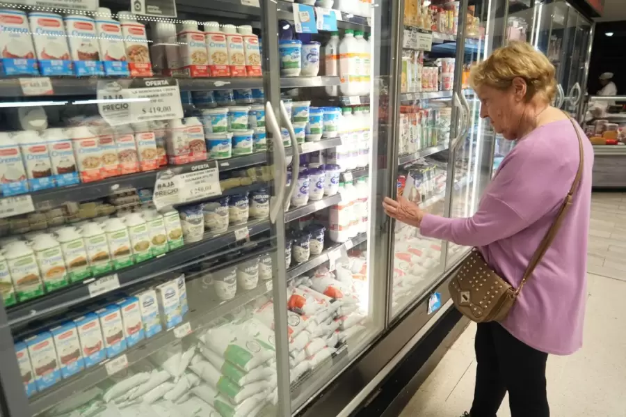 Los alimentos fueron uno de los rubros más influyentes