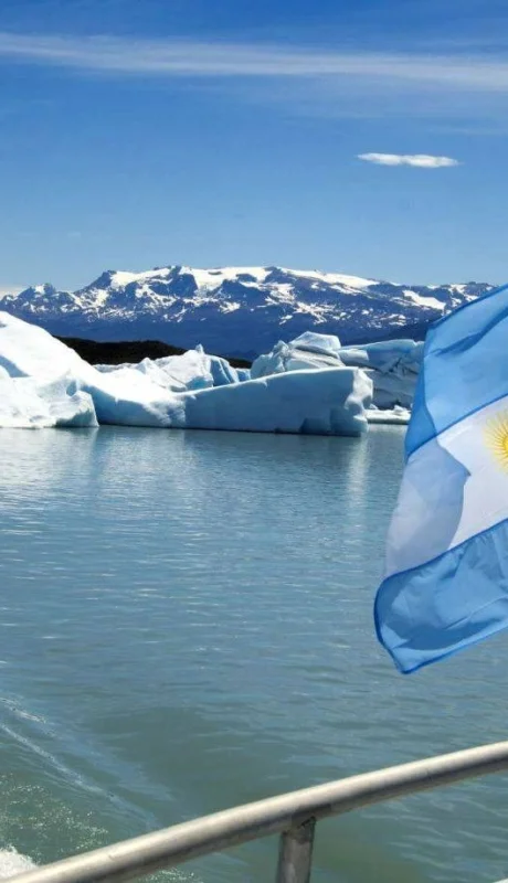 La iniciativa se aprobó con 40 votos afirmativos, recibió 31 rechazos y una abstención, y ahora la escena se trasladará a la Cámara de Diputados.