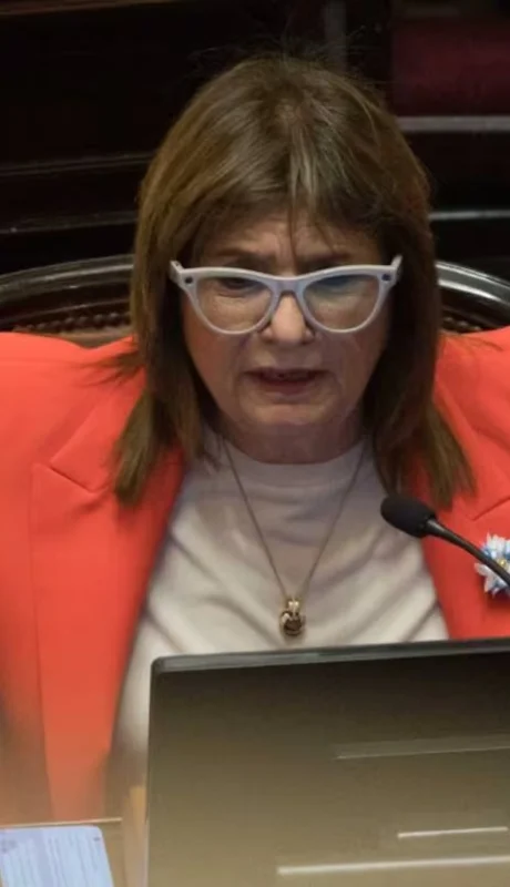 La senadora libertaria Patricia Bullrich tuvo un rol esencial en la media sanción de la ley. (Foto: web)