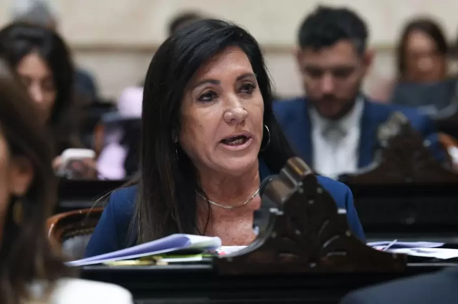 Diputada Rodriguez Machado miembro informante del oficialismo