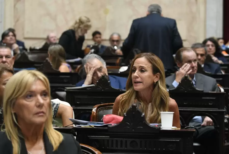 Victoria Tolosa Paz se opuso al proyecto