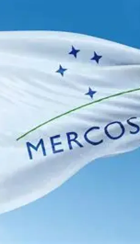 Se debate el acuerdo del Mercosur con la union europea