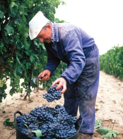 El sector, en crisis