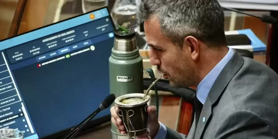 Martín Menem preparado para presidir la sesión de mañana