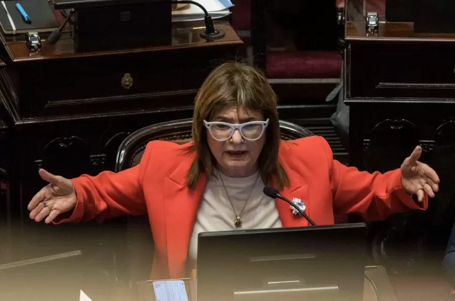 Patricia Bullrich defiende la iniciativa oficialista