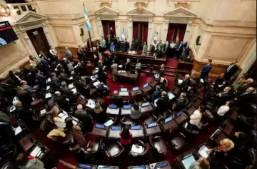 El Senado se encamina a convertir en ley la baja de la edad de imputabilidad a los 14 años