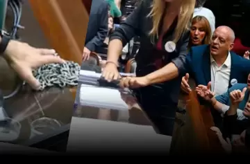 Congreso: Oscar Zago criticó el "circo" y su impacto inversor