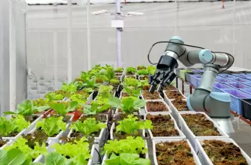 IA y robots: la revolución que busca salvar al agro en Cuyo