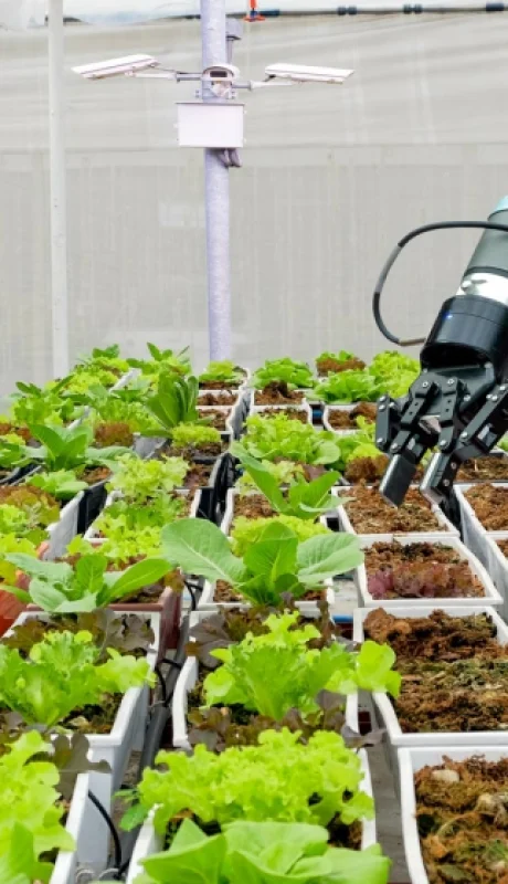 La tecnificación del agro es le proximo camino que deberá tomar el agro