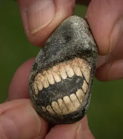 ¿Una dentadura humana de hace millones de años? Conocé la historia de Christine y el extraño animal marino que encontró en la "Isla Sagrada".