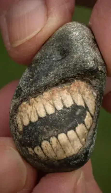 ¿Una dentadura humana de hace millones de años? Conocé la historia de Christine y el extraño animal marino que encontró en la "Isla Sagrada".