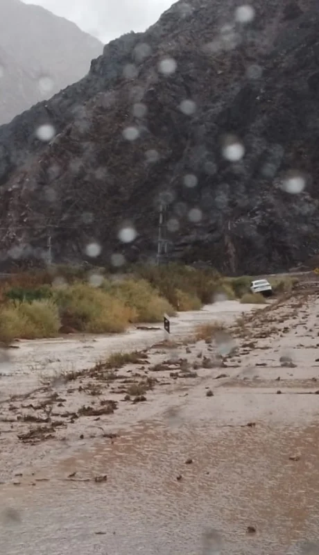 Potrerillos, Mendoza