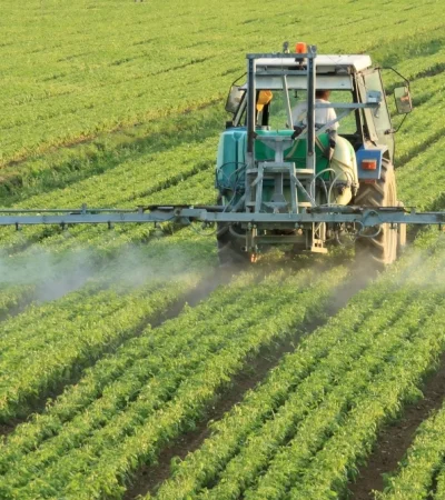 Reforma laboral campo: por qué el sector clave del PBI la apoya