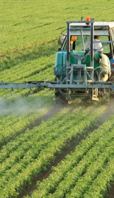 Reforma laboral campo: por qué el sector clave del PBI la apoya