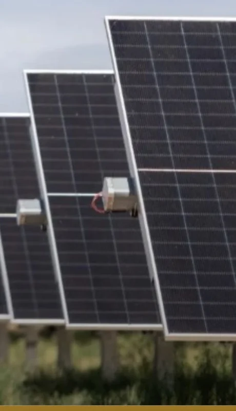 circulo politico (10)