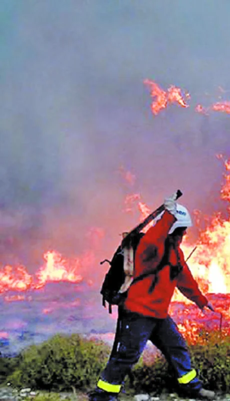 incendio-forestal-en-chubut