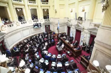 El Senado aprobó el Régimen Penal Juvenil y baja la edad de imputabilidad a 14 años