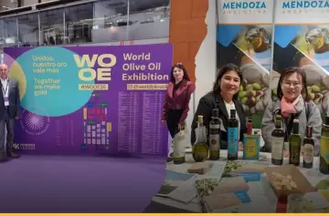 Mendoza: 11 aceites de oliva representan a la provincia en Madrid