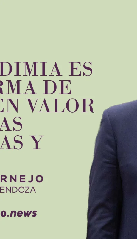 Alfredo Cornejo, Gobernador de Mendoza