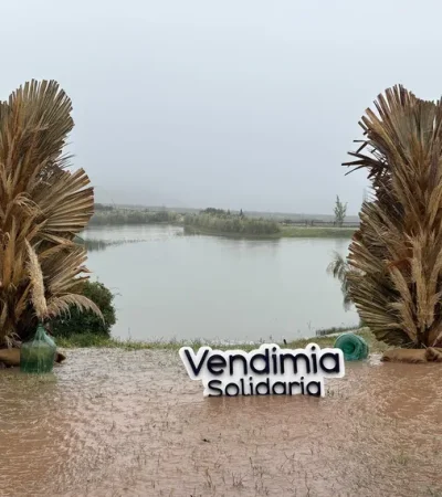 La Vendimia Solidaria pasada por agua. Suspendieron el evento por lluvias.