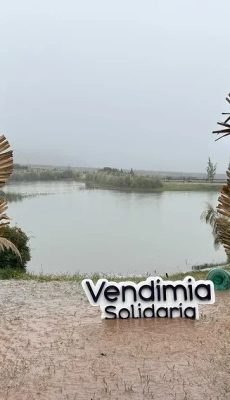 La Vendimia Solidaria pasada por agua. Suspendieron el evento por lluvias.