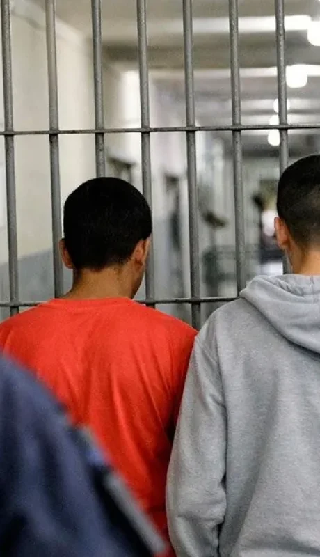 El Gobierno promulgó la Ley 27.801.