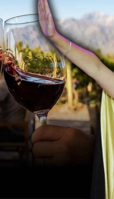 Vendimia 2026: Mendoza logra 85% de ocupación pese al clima