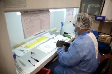 Mendoza lidera en Latinoamérica con su banco de huellas genéticas