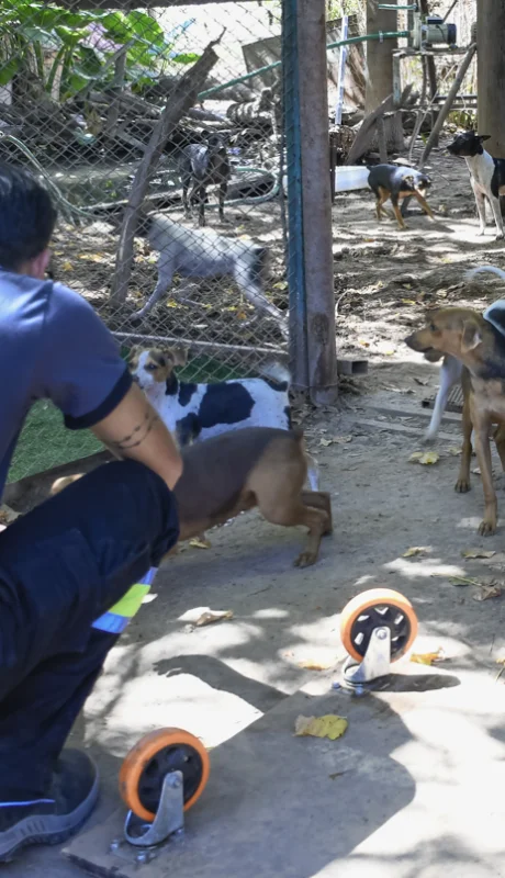 Allanamientos en Guaymallén